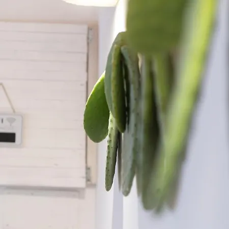 Il Chioschetto Σπίτι διακοπών